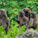 Něco se tam děje... (1)