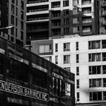 Socialni sterilizace