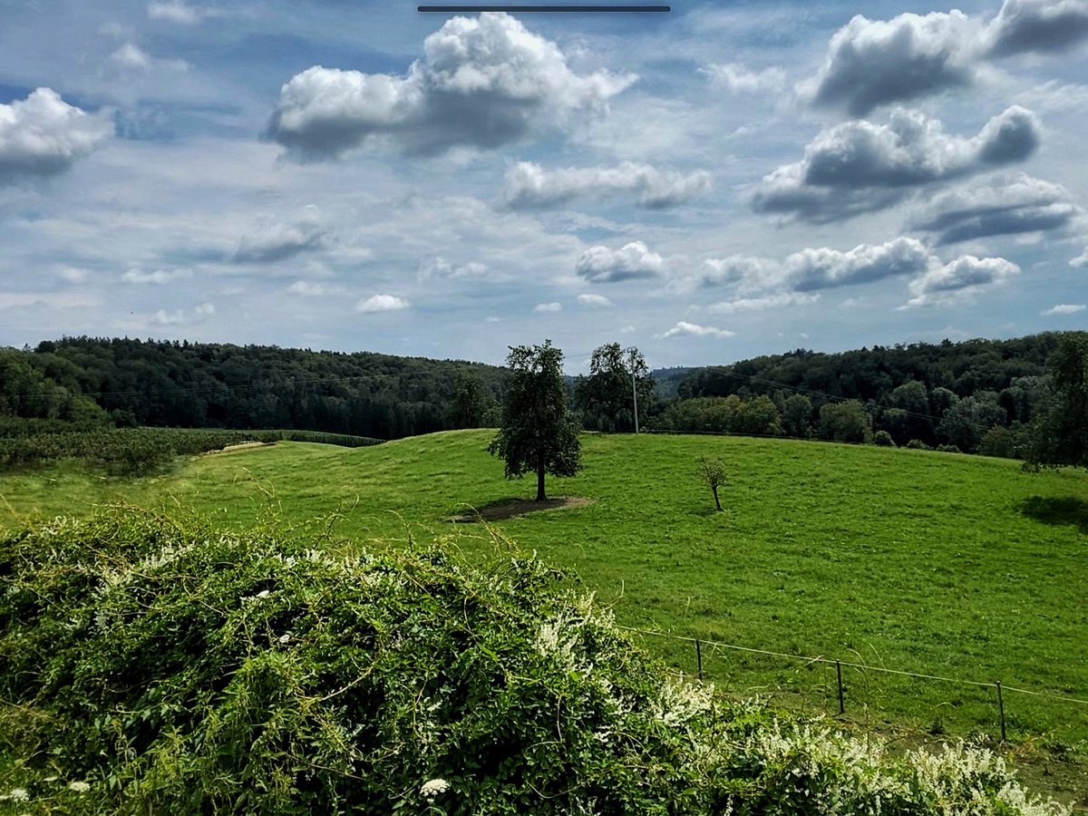 Příroda