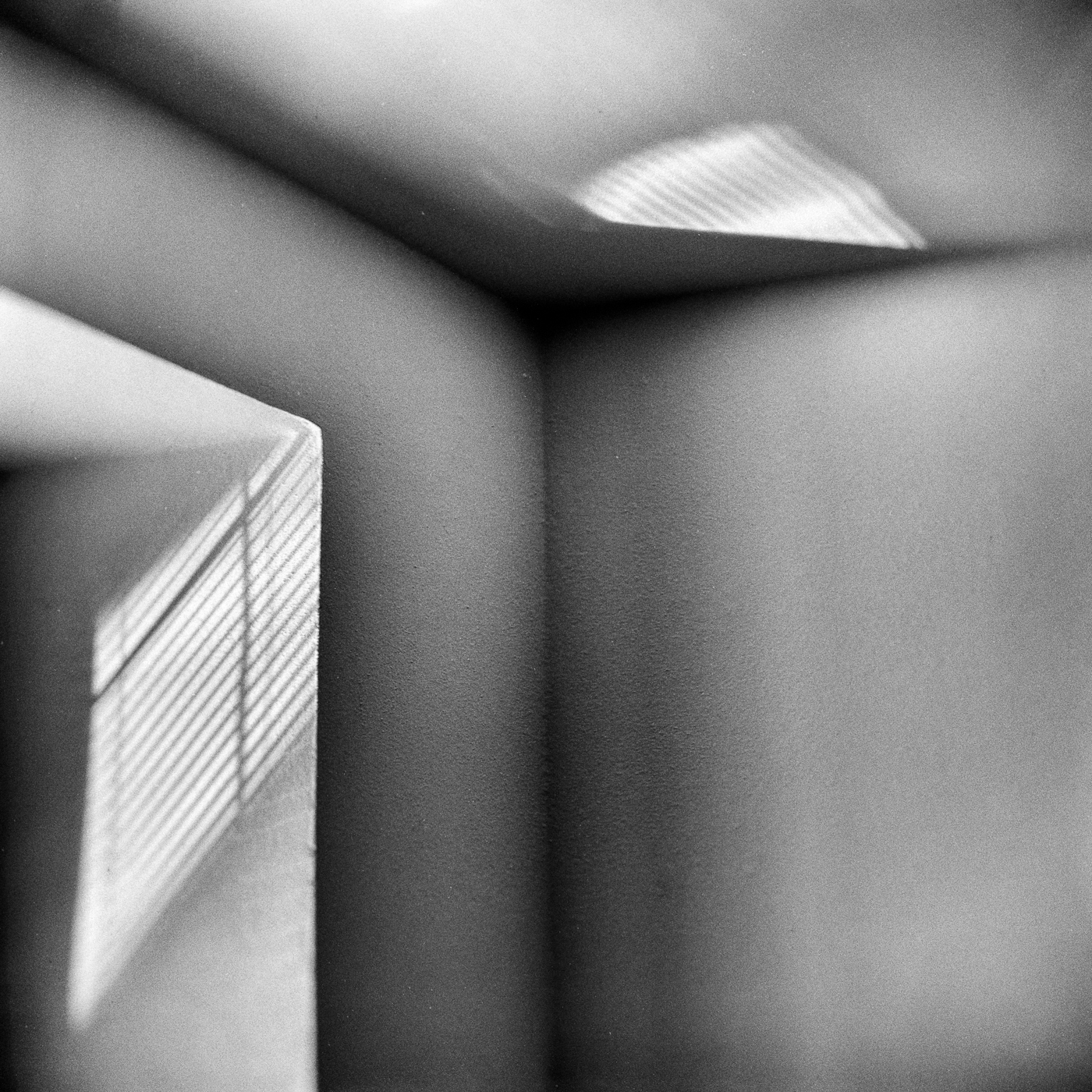 Denní můry - MoML 28. srpna 2020