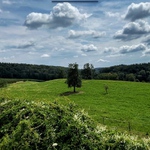 Příroda
