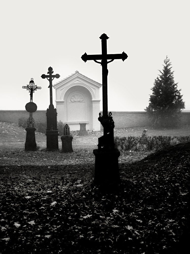 Zahrady ticha a zapomnění...16