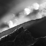 přeškrtnuté perly