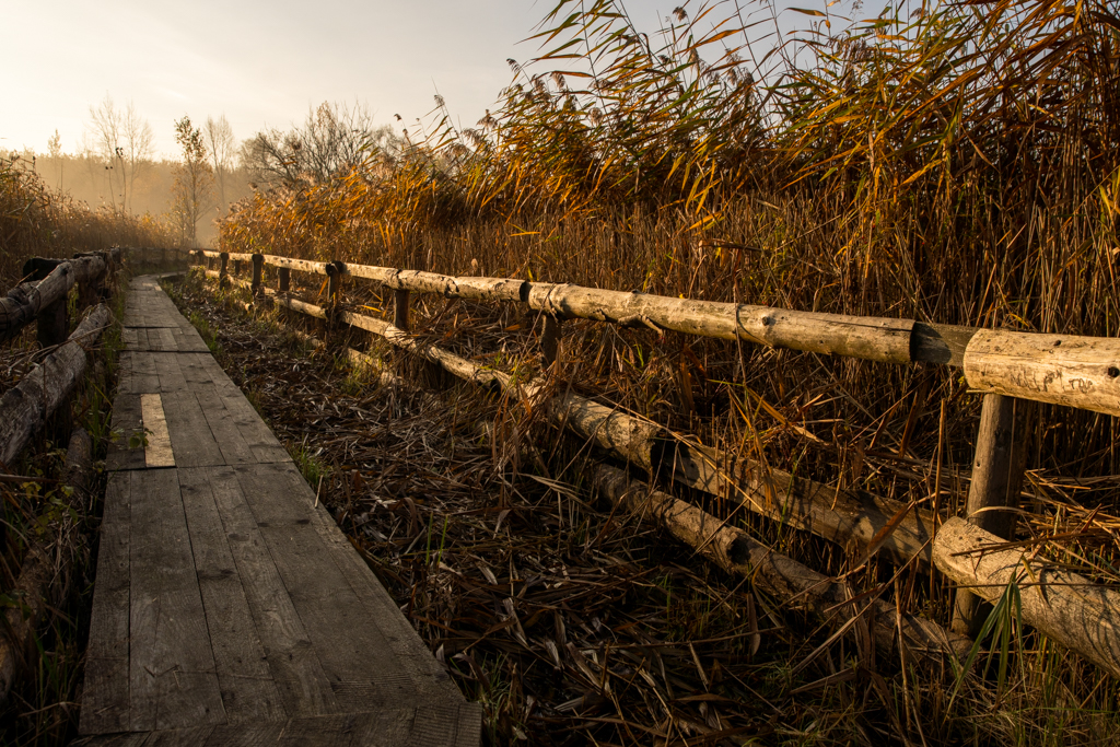 Hermanickej #1ermanickej #4