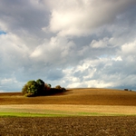 Vysočina u Skřivánku