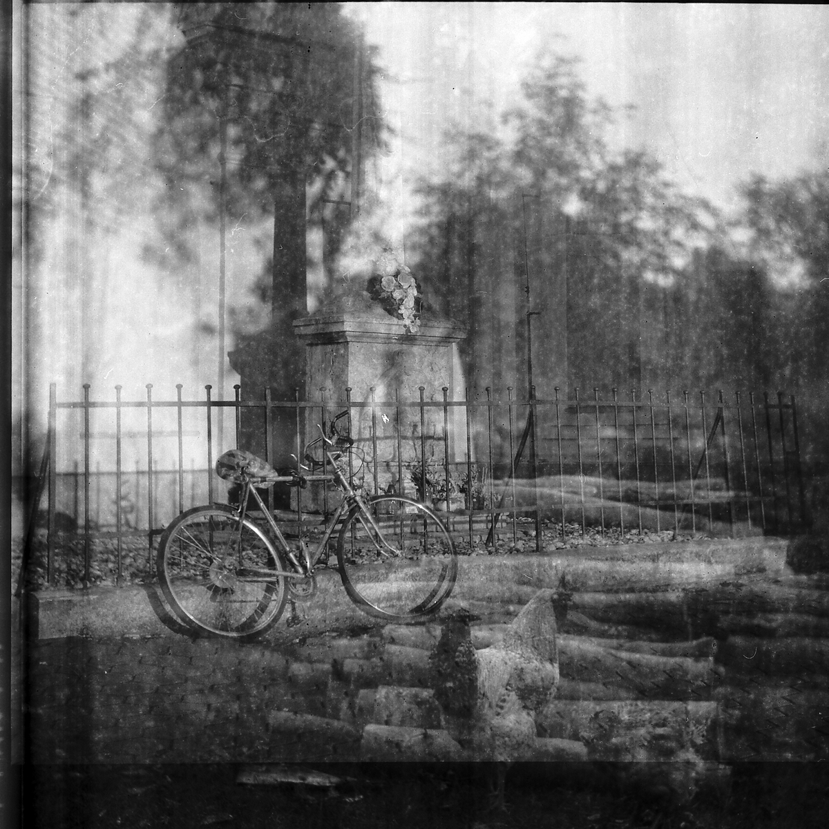 Kohút a bicykel