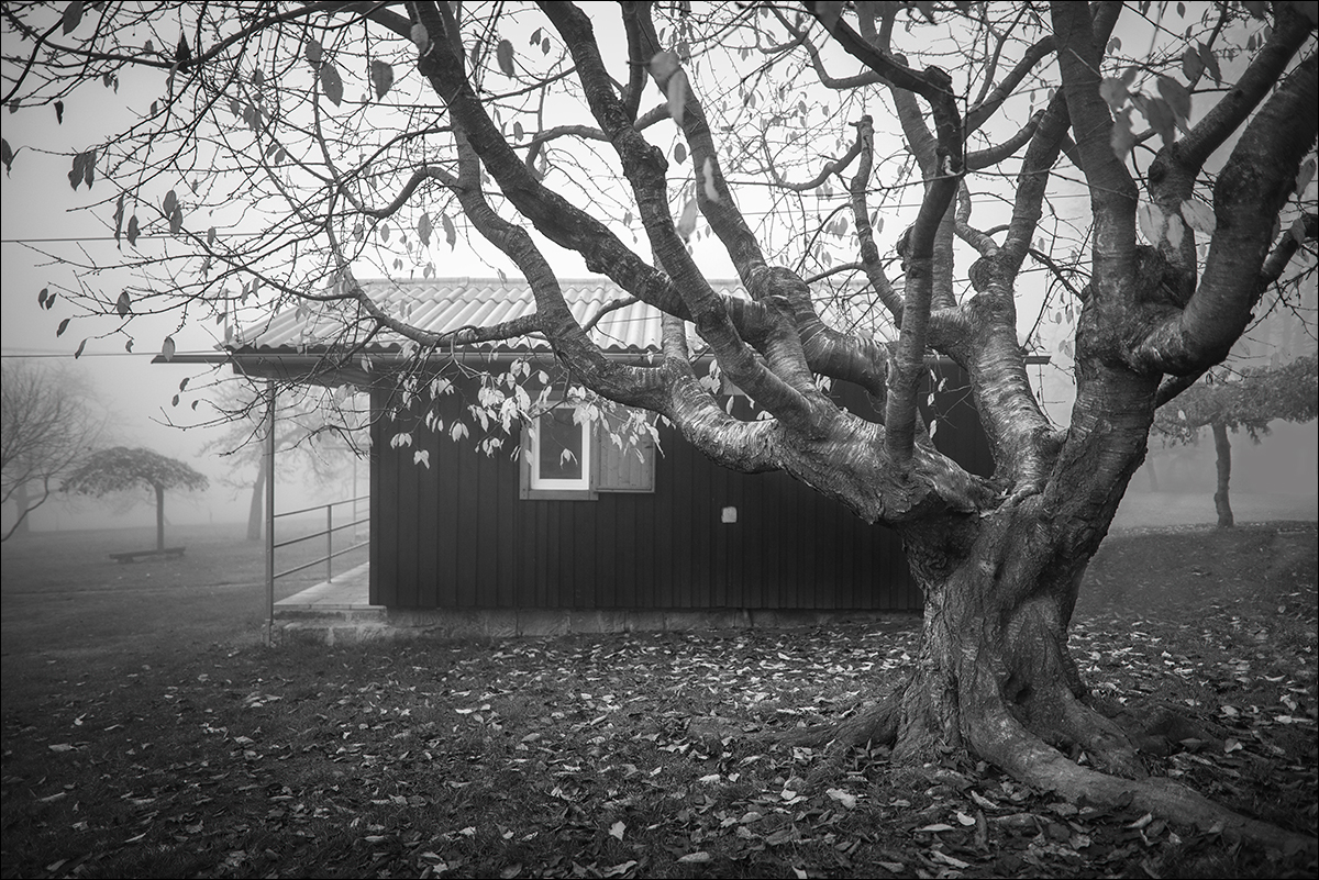 Po sezóně (která stejně nebyla)