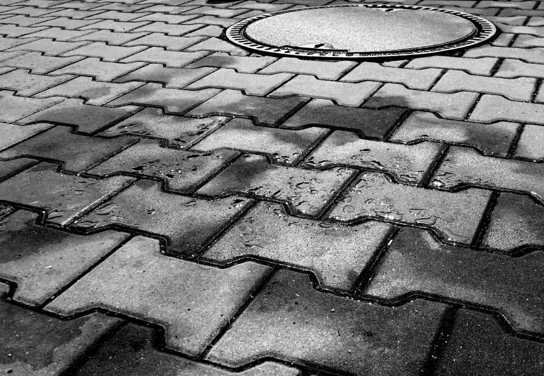 S hlavou skloněnou...