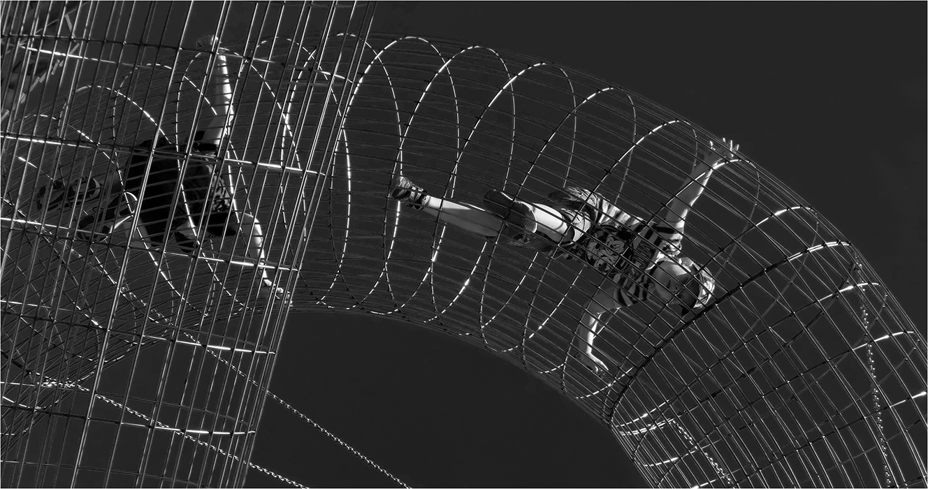 Klecový odchov aneb Kde je vlastně "nahoře"