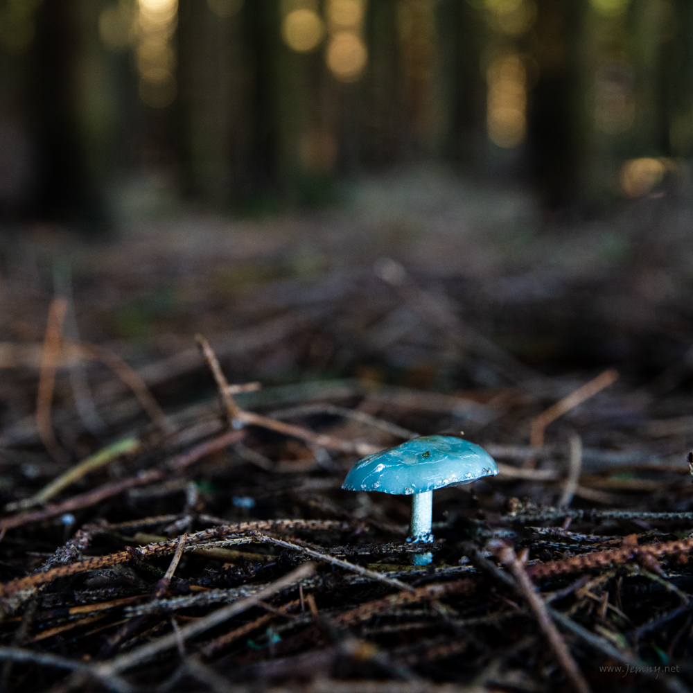 Jist ci nejist, tot otazka... :)