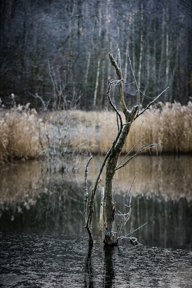 Ostravska krajinarina :D #1