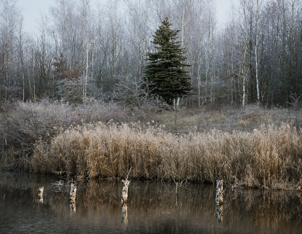 Ostravska krajinarina :D #2