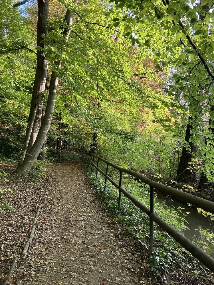 Podzimní