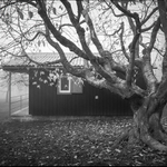 Po sezóně (která stejně nebyla)