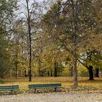 Park