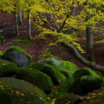 Podzim Horní Požáry