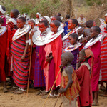 Ceremoniál obřízky, Masajové, Longido, Tanzanie