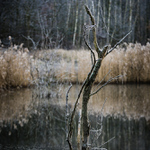 Ostravska krajinarina :D #1