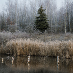 Ostravska krajinarina :D #2