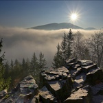 Trochu slunce do těchto dní...