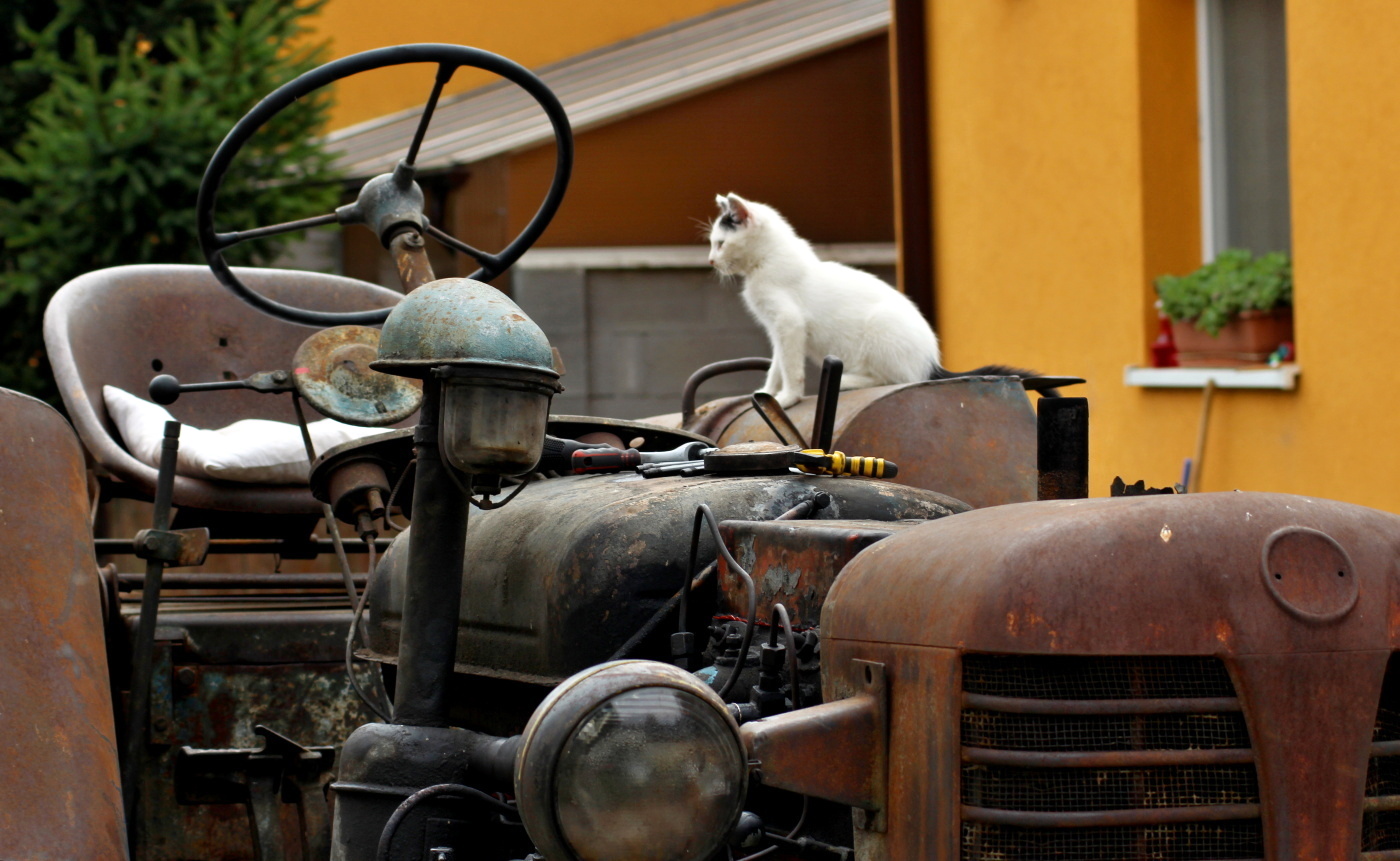 Podajte mi ešte šrobovák...