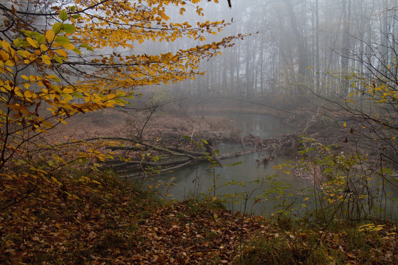 Podzimní lahůdky II.