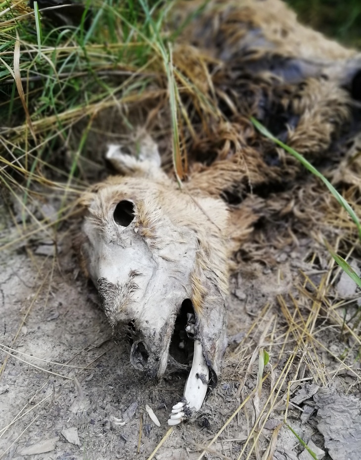 dvojka vpravo nahoře