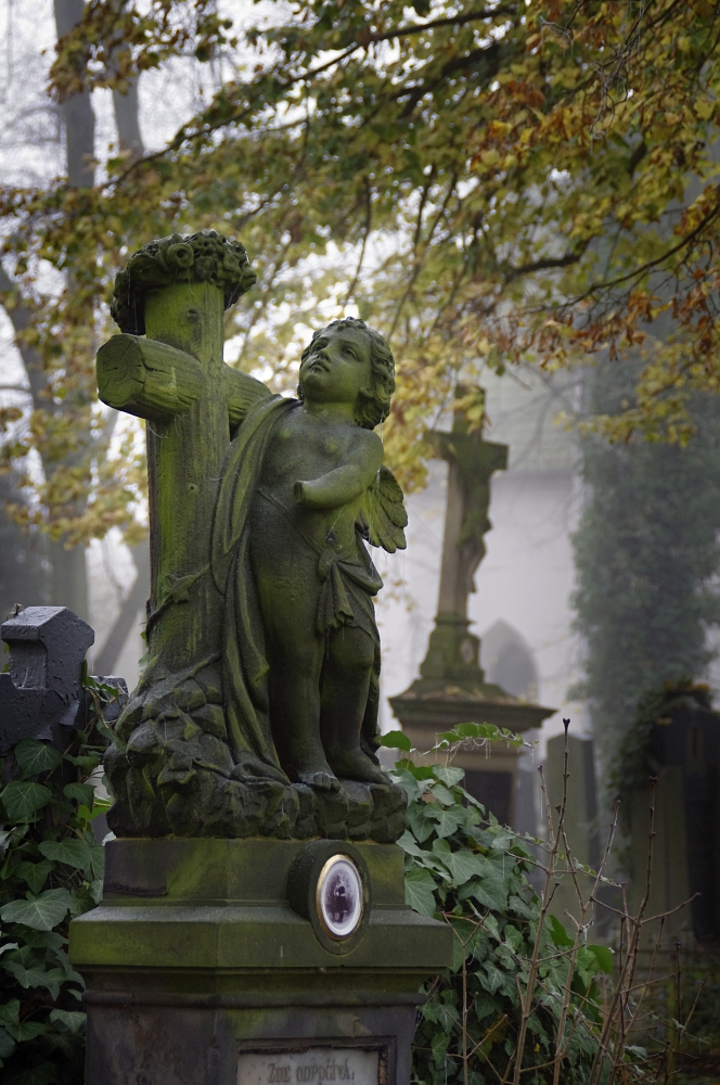 Zahrady ticha a zapomnění 13