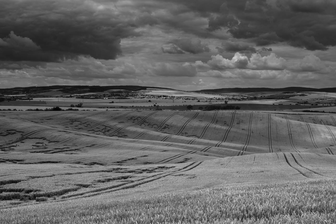 Letní pole před bouřkou