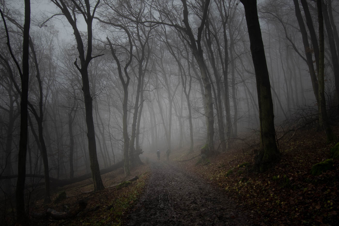 Blair Witch les