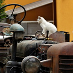 Podajte mi ešte šrobovák...