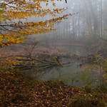 Podzimní lahůdky II.