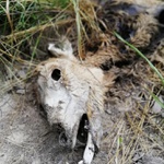 dvojka vpravo nahoře