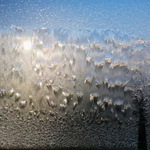 Alice in the wonderland