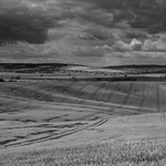 Letní pole před bouřkou