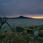 Novomlýnská nádrž