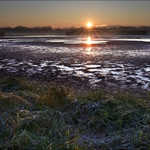 Ráno u vypuštěného rybníka