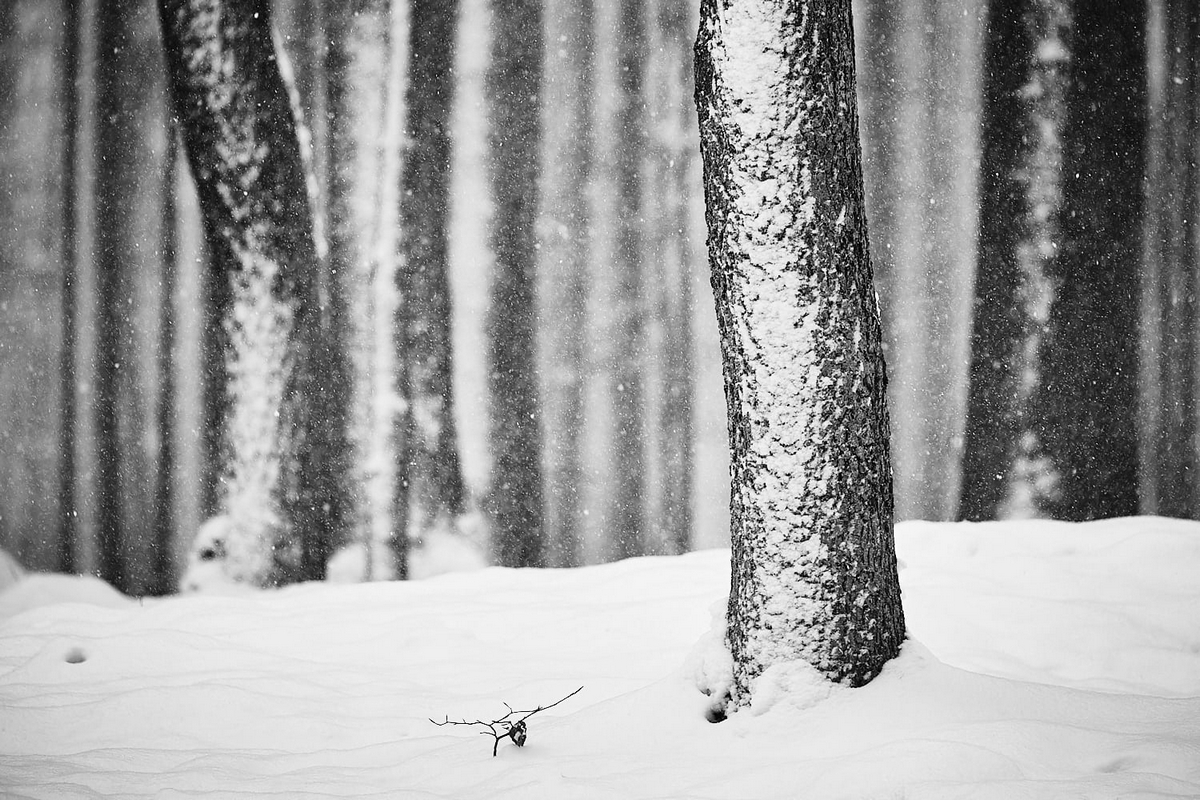 Jen si tak chodim krajinou