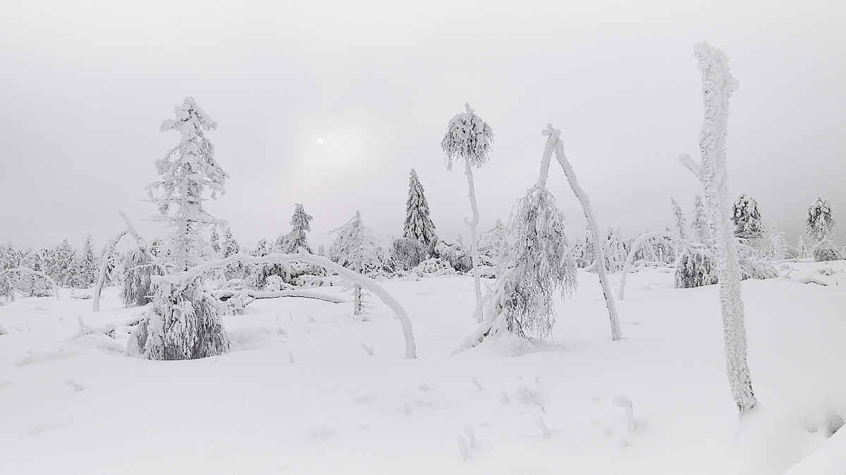 Těžkej život v severním pohraničí...