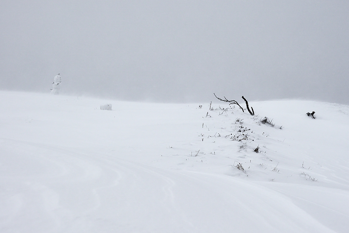 O rozpadlém sněhulákovém partnerství...