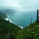 Stopy v krajině. Různé druhy (ii)