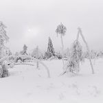 Těžkej život v severním pohraničí...