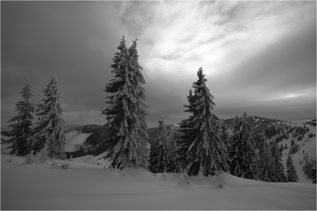Krajina xxx