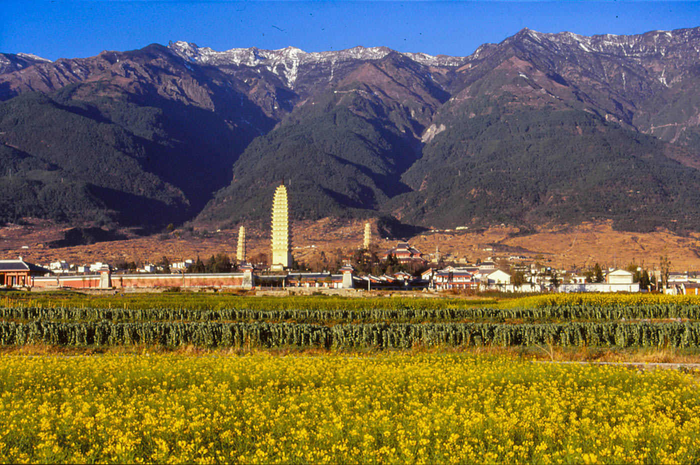 3 Pagody, Dali, Yunnan