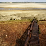 Stopy v krajině. Různé druhy (V)