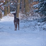 procházkové setkání