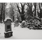 Zahrady ticha a zapomnění 16