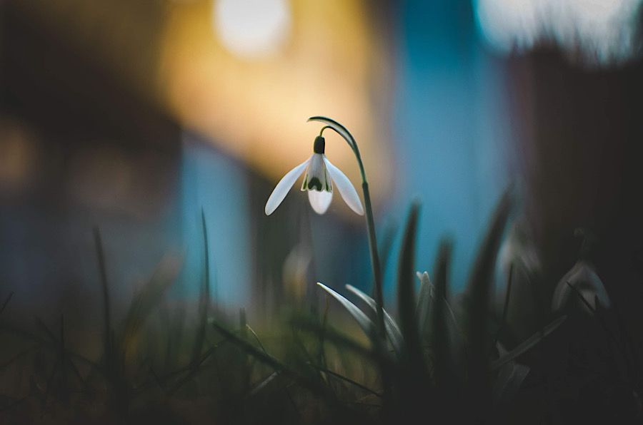 My neverending story)