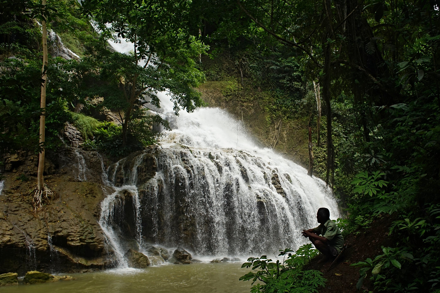 Stopy v krajině. Různé druhy (Vii)
