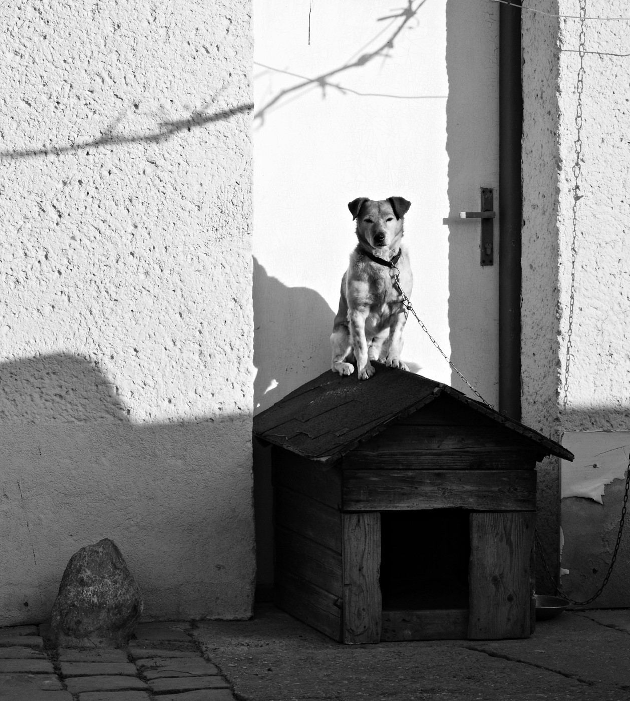 Lepší rozhled 2...